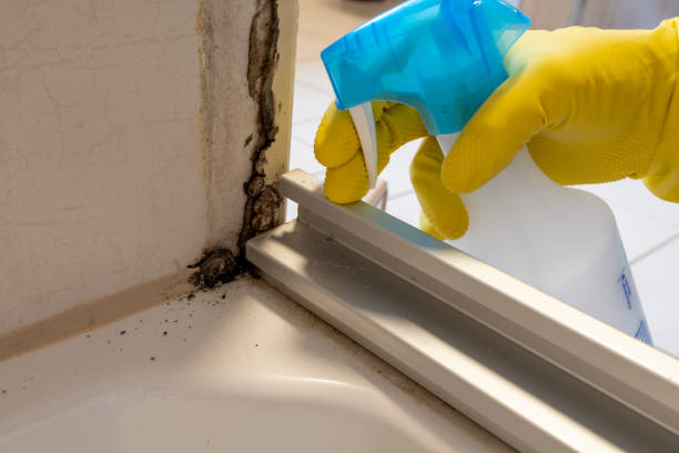 Best Mold Testing  in Albion, PA