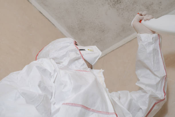 Albion, PA Mold Removal Company