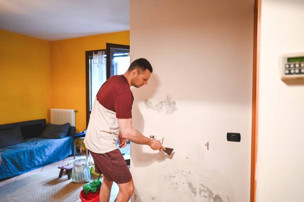 Best Attic Mold Removal  in Albion, PA